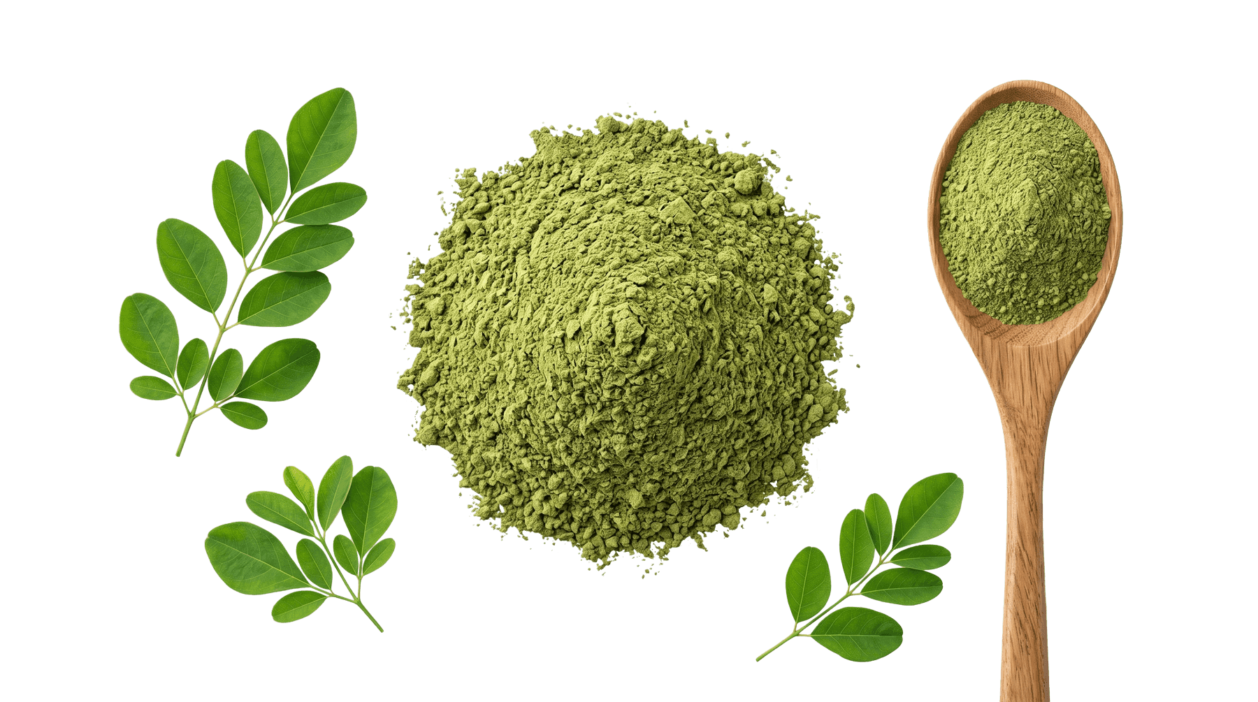 Moringa powder, dried leaf tea, capsules, dried leaves and oil arranged on a wooden table with a fresh moringa branch